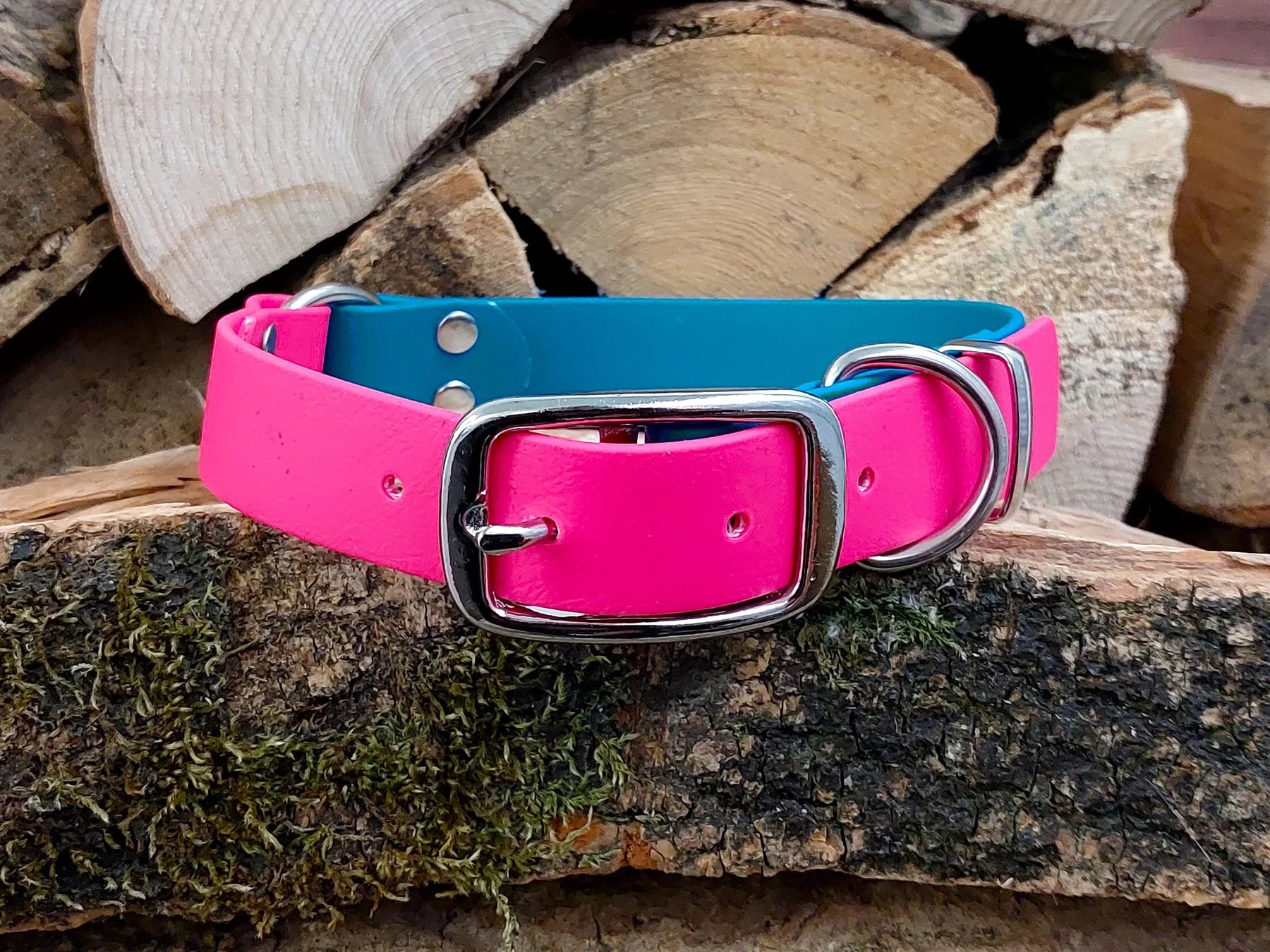 waterproof Dog Collar UK made Multi Coloured Turquoise & Pink