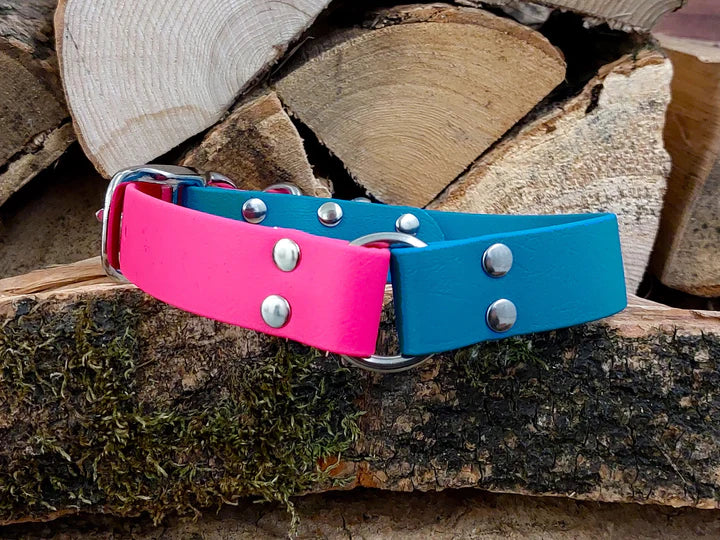 waterproof Dog Collar UK made Multi Coloured Pink & Turquoise