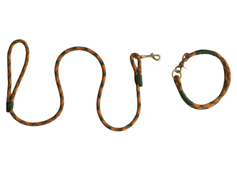 Maple syrup rope collar and lead