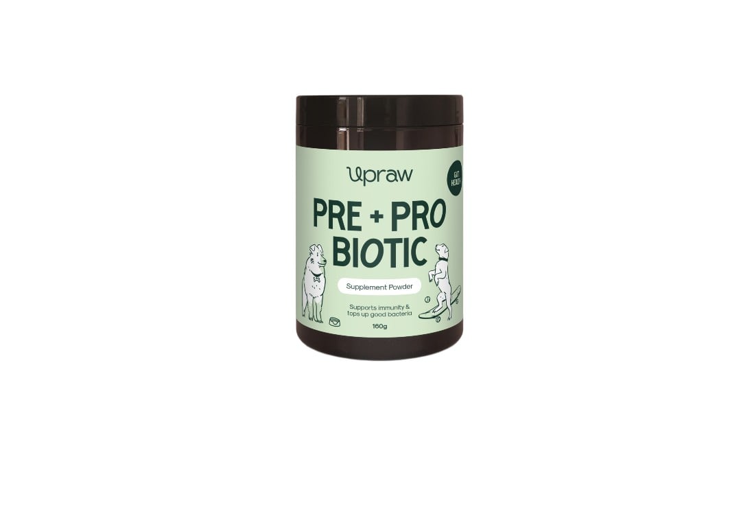 Pre + Probiotic Supplement Powder for Dogs 