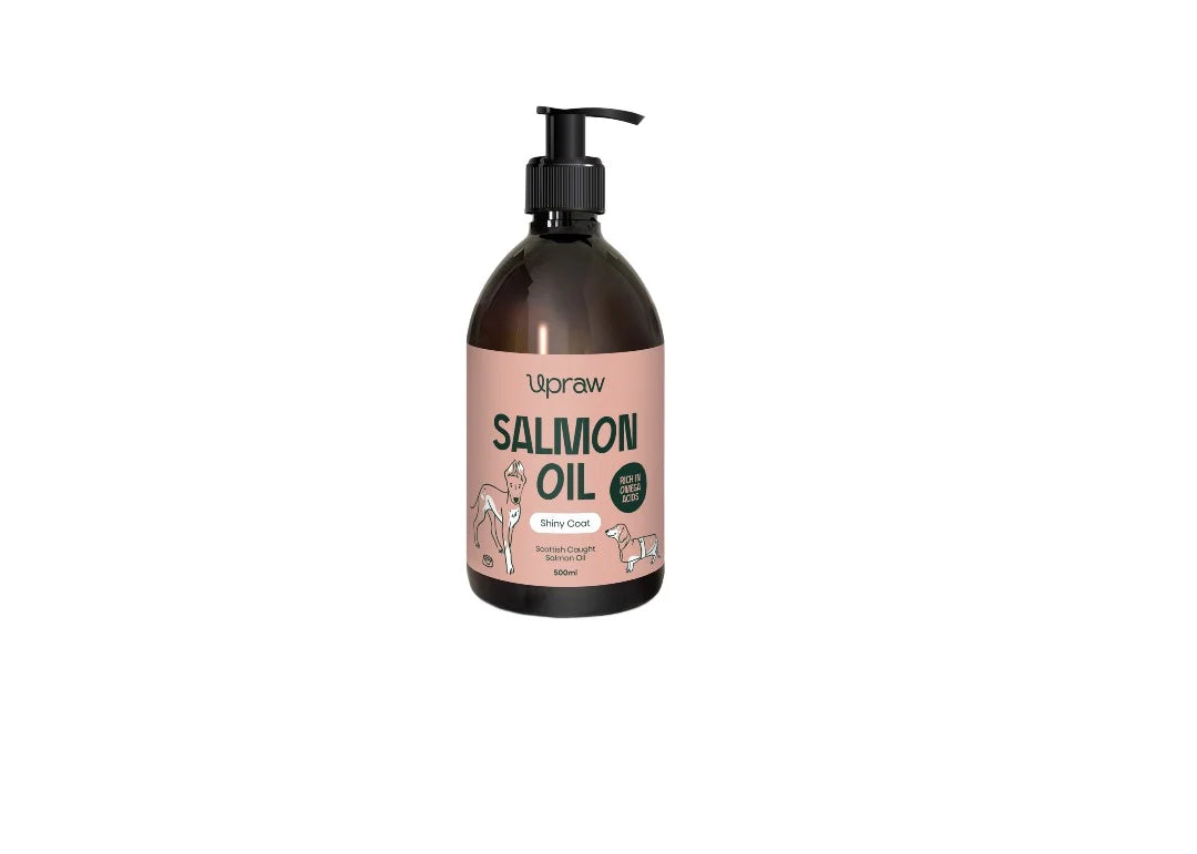 Bottle of Upraw Salmon Oil with pump on a white background