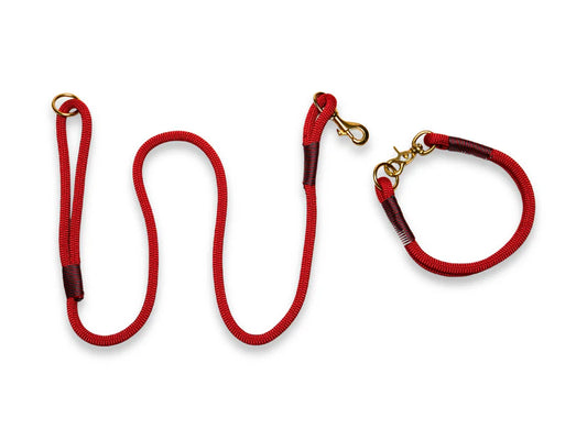 Vibrant red rope collar and lead