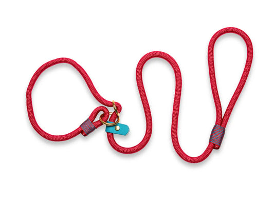 Vibrant red rope slip lead