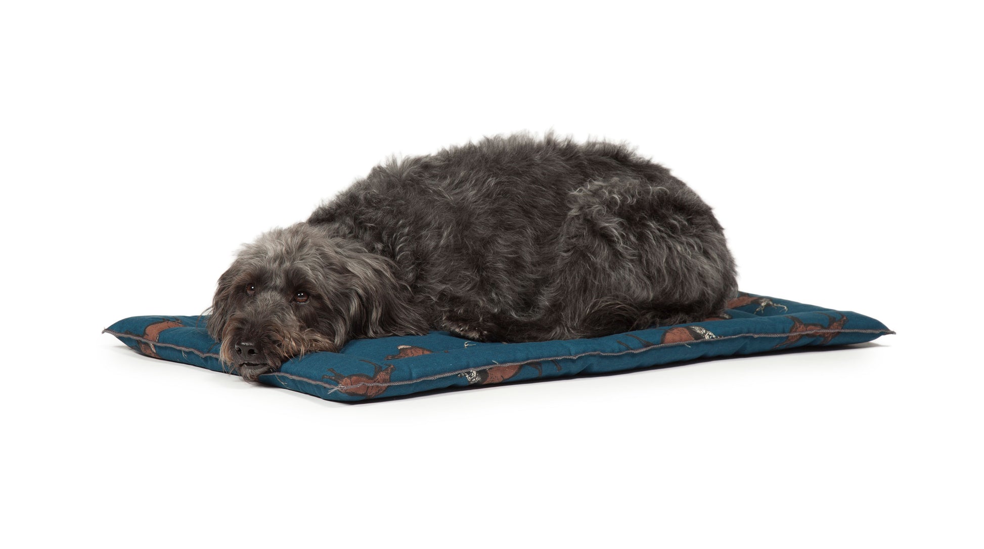 Woodland Stag Crate Mattress | British Country Dog Bed