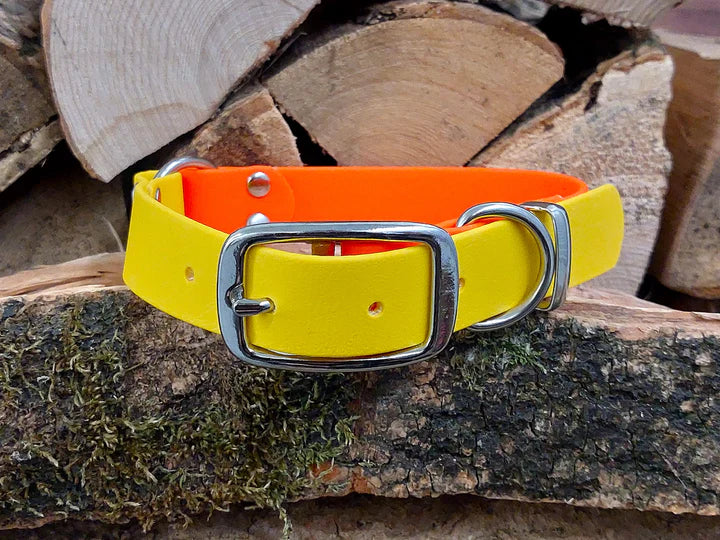 waterproof Dog Collar UK made Multi Coloured Neon Orange & yellow