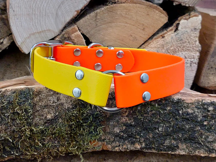 waterproof Dog Collar UK made Multi Coloured Neon Yellow & Orange