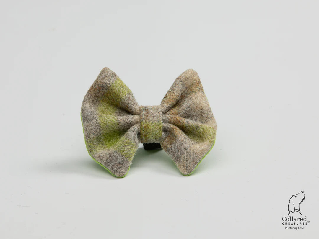 Abraham Moon Bibury Lichen Luxury Dog Wool Collar Bow tie