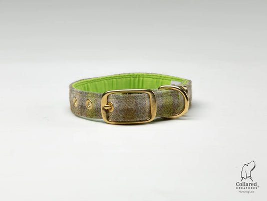 Abraham Moon Bibury Lichen Buckle Collar