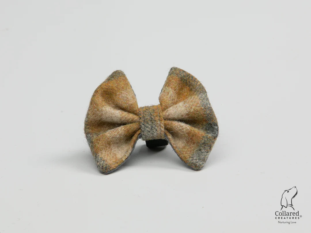 Abraham Moon Bibury Mustard Dog Collar Bow Tie