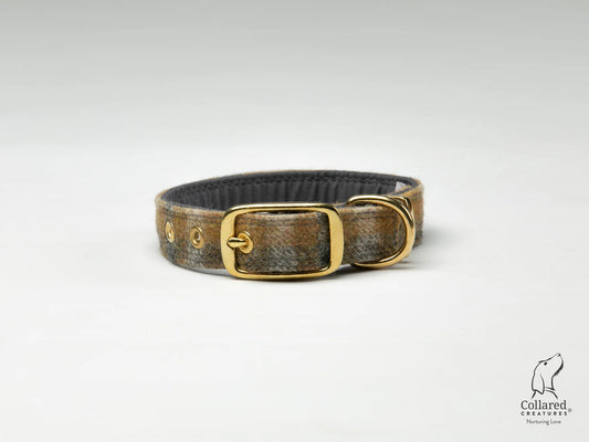 Ambraham Moon Bibury mustard Buckle Collar