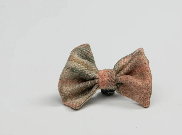 Abraham Moon Glen coe terracotta dog bow tie