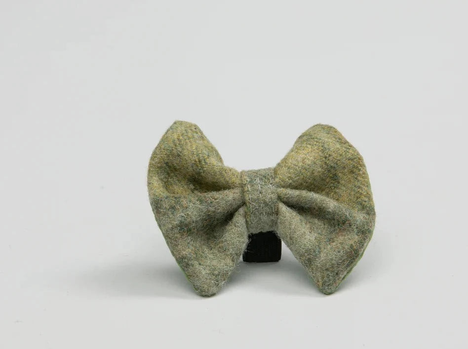 Abraham Moon Mr Straws House Sage Dog Bow Ties 