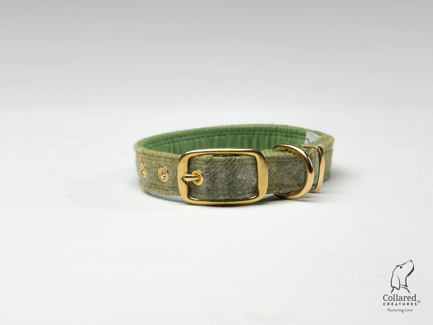 Abraham Moon Mr Straw's House Sage Buckle Dog Collar