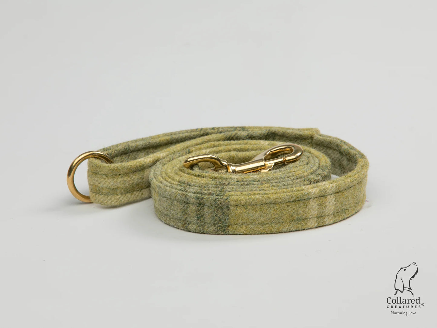 Abraham Moon Mr Straw's House Sage Buckle Dog Lead