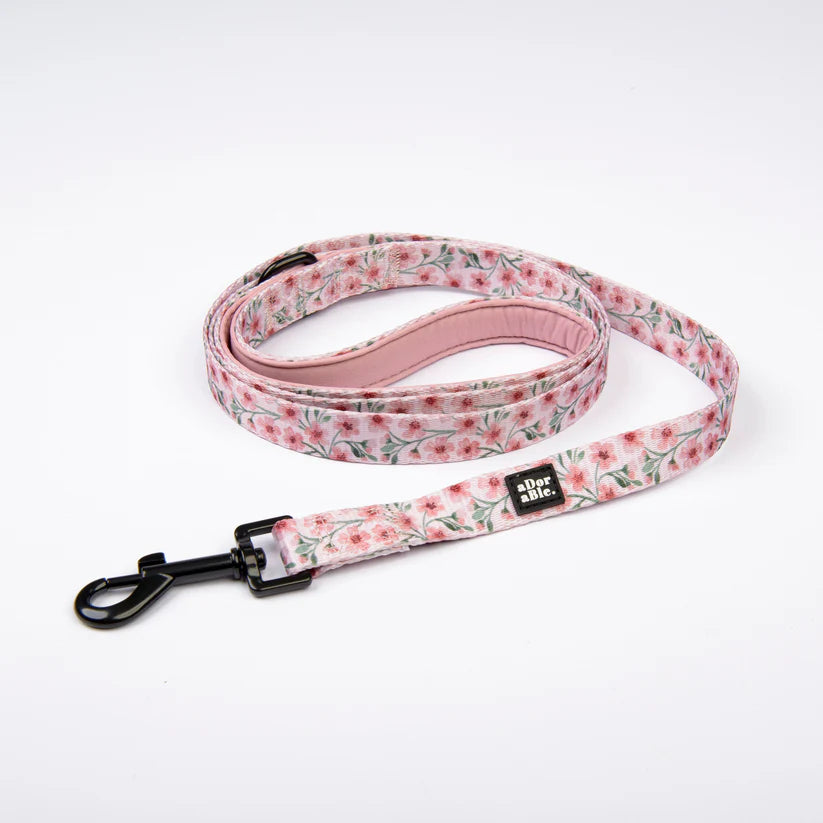 aDoraBle Pooch dog lead blushing blossoms