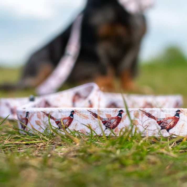 aDoraBle Pooch farmland pheasant dog lead close up