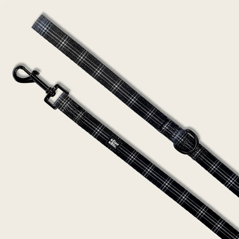 aDorable pooch noir plaid dog lead