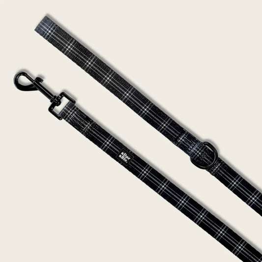 aDorable pooch noir plaid dog lead
