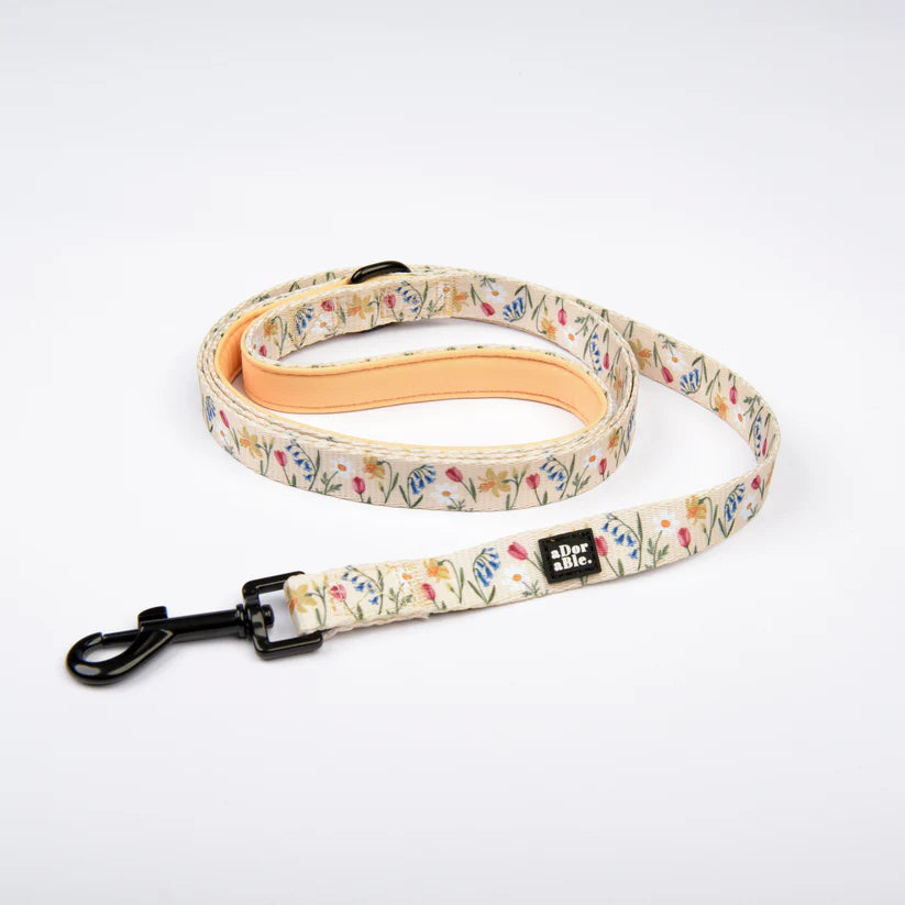 aDoraBle Pooch dog lead spring garden