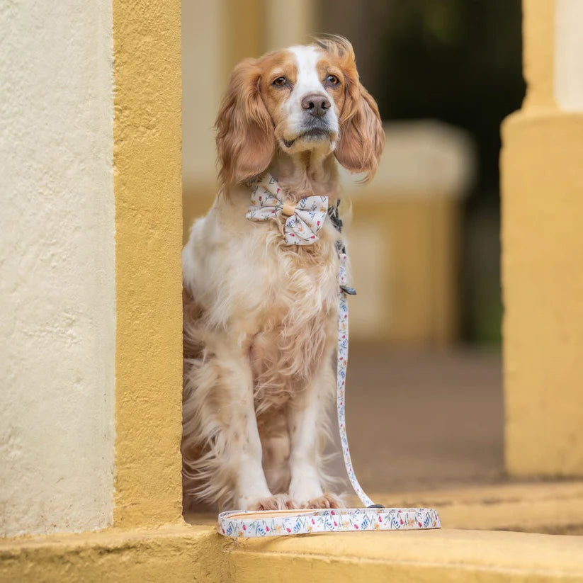 aDoraBle Pooch dog lead spring garden example