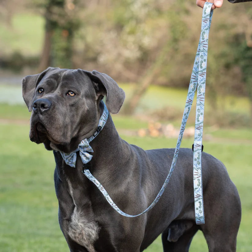aDoraBle Pooch Dog Lead - Willow Waters