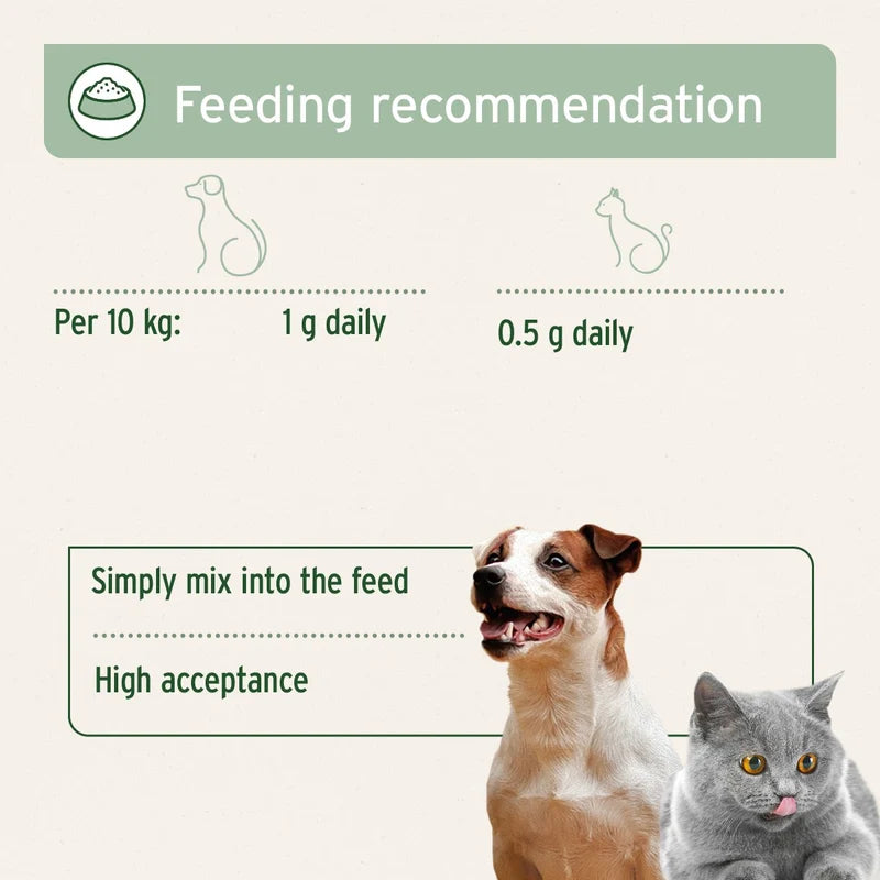 Feeding recommendation graphic for pets, showing a dog and a cat at the bottom with text indicating 1 g daily per 10 kg for dogs and 0.5 g daily for cats, on a light beige background with green accents.