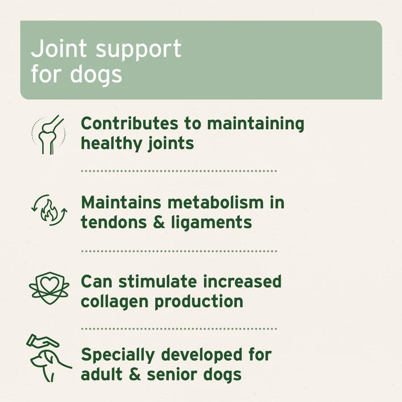 AniForte AgilityVET Joint Tablets for Dogs Joint Support  