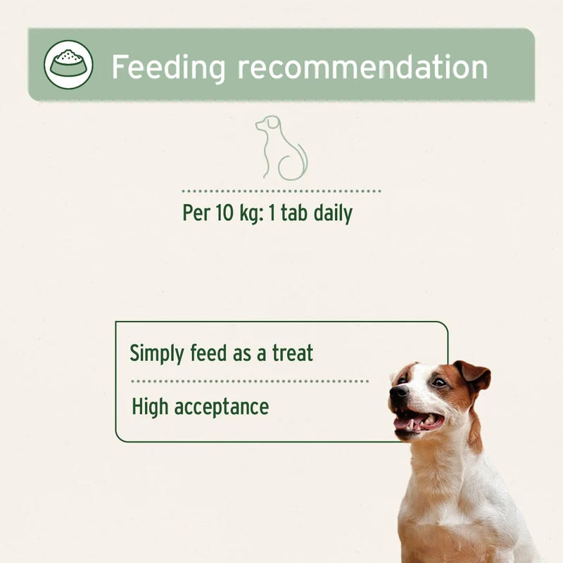 AniForte AgilityVET Joint Tablets for Dogs feeding guidelines