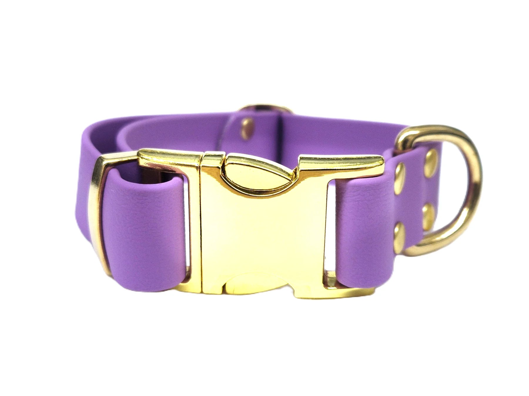 Amethyst Waterproof Dog Collar with metal clasp