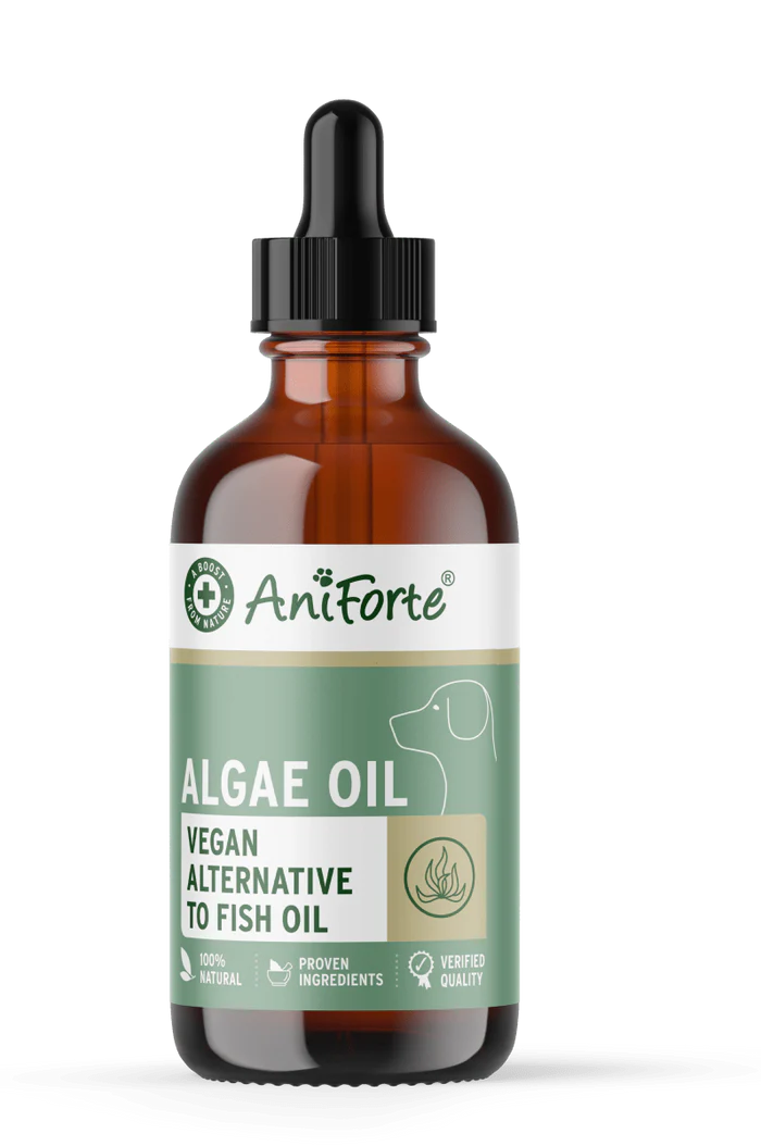 Aniforte algae oil