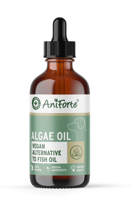 Aniforte algae oil