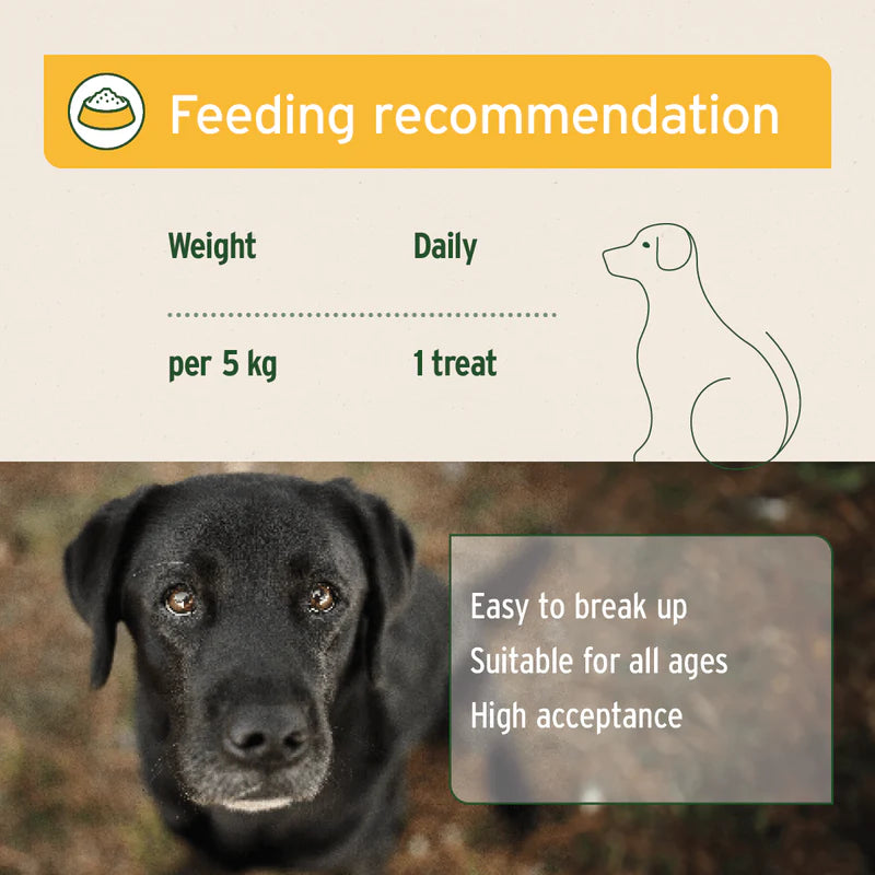Feeding recommendation for a dog with a black labrador in the background