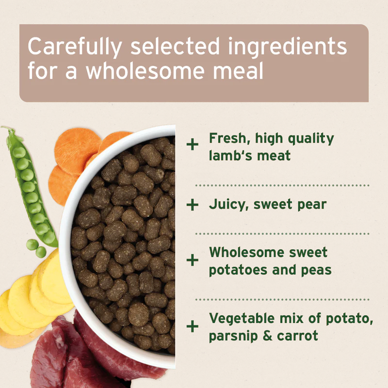 Dog food bowl with ingredients listed on a beige background