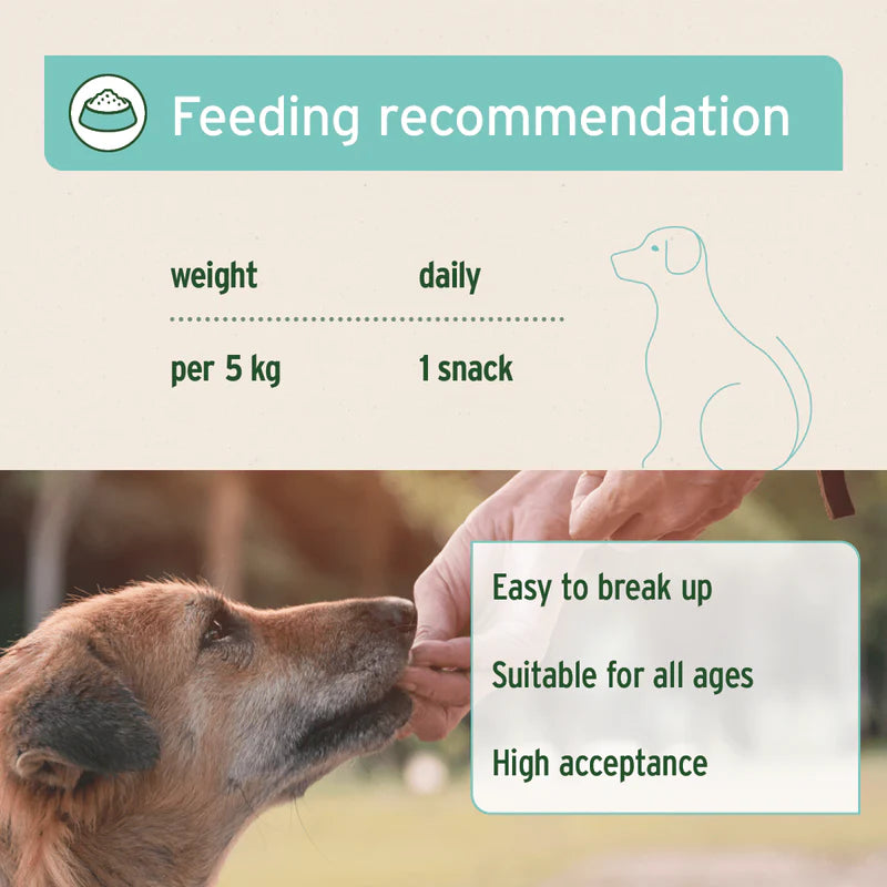 Feeding recommendation for a dog with a diagram of a dog receiving a snack.