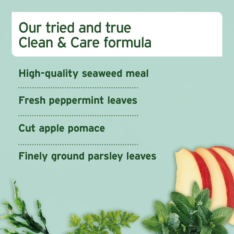 AniForte® Dental Snack for Dogs – Grain-Free Dental Treats with Peppermint