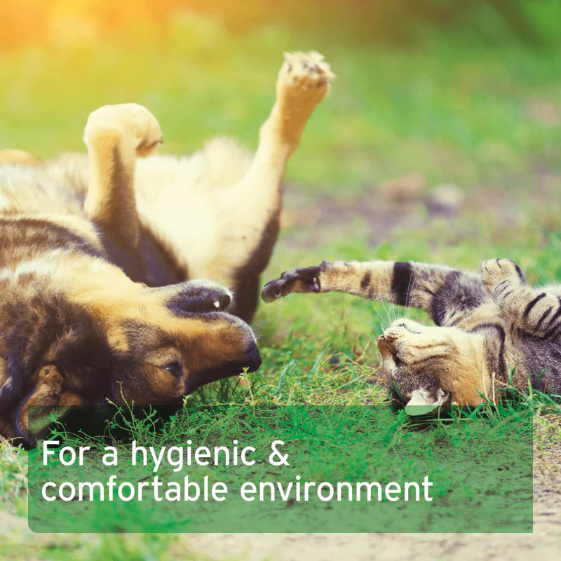 Dog and cat playing on grass with text 'For a hygienic & comfortable environment'.