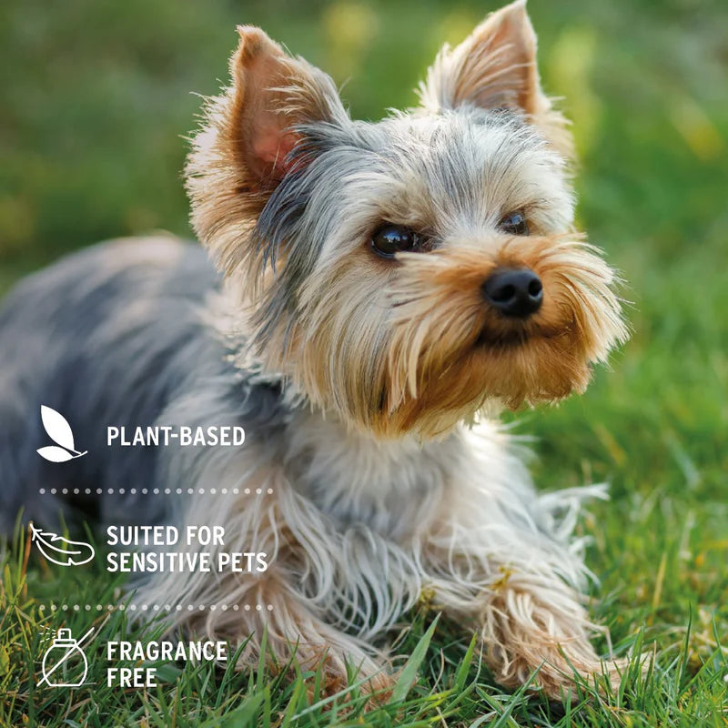 Small dog sitting on grass with plant-based, sensitive pet, and fragrance-free product features.