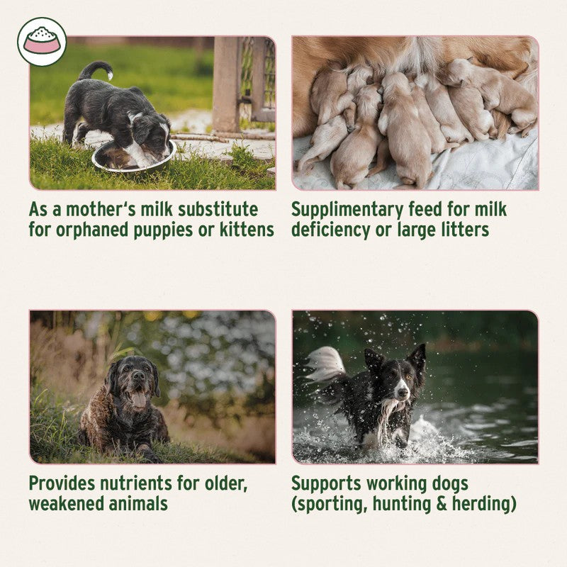 Dried Goats Milk used as a mother's milk substitute for orphaned puppies or kittens, supplementary feed for milk deficiency or large litters, provides nutrients for older weakened animals, and supports working dogs.