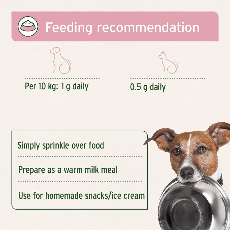Feeding recommendationfor Goats Milk Powder dog food, showing a brown and white dog holding a metal bowl. The infographic includes text stating 'Feeding recommendation' and dosing instructions: 'Per 10 kg: 1 g daily' and '0.