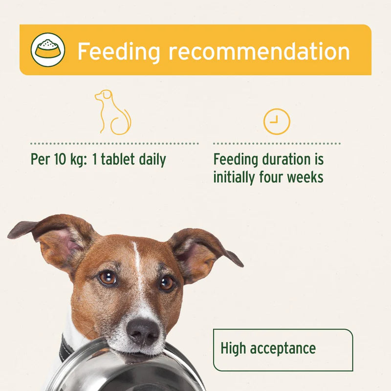 Aniforte plus probiotic tablet guidelines