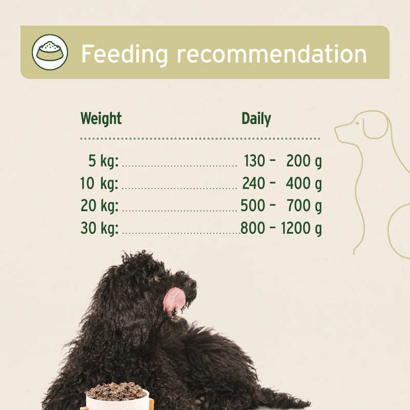Feeding recommendation chart for dogs with a black dog eating from a bowl on a beige background.