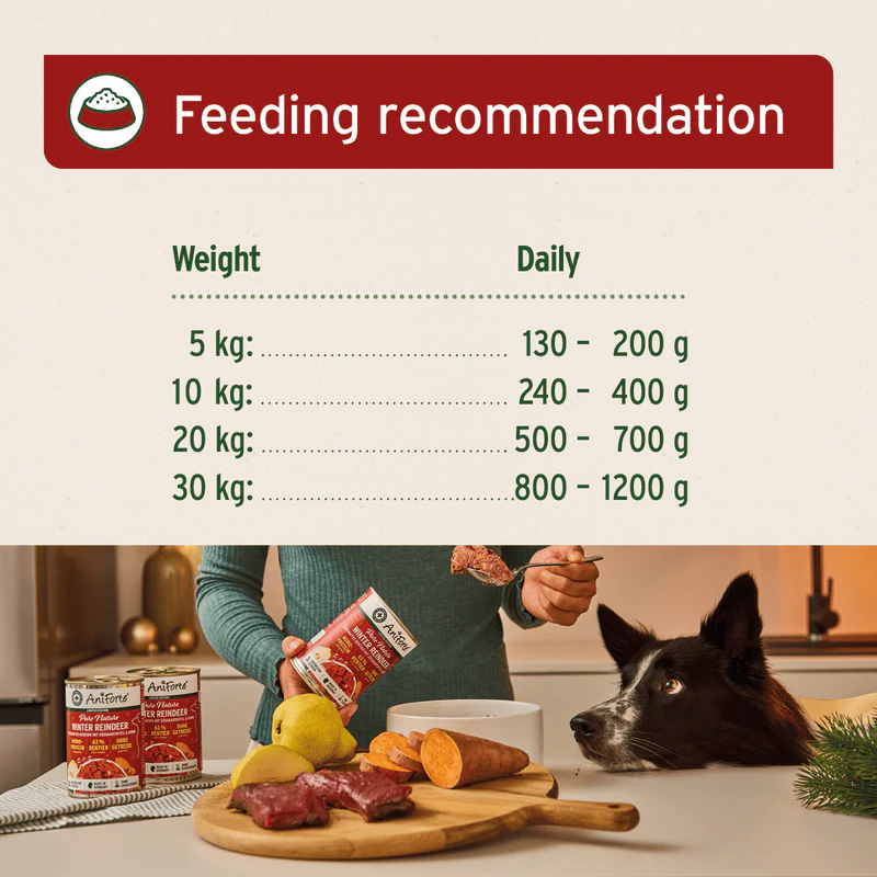 Feeding recommendation chart for dogs with a person and dog in a kitchen setting.