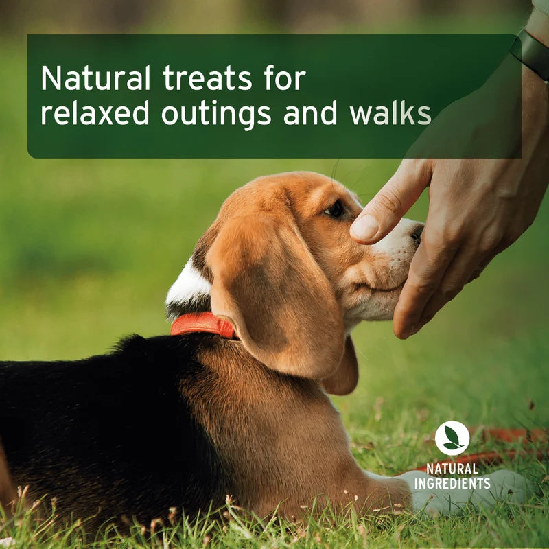 Dog lying on grass with a hand petting it, with text about natural treats for relaxed outings and walks.