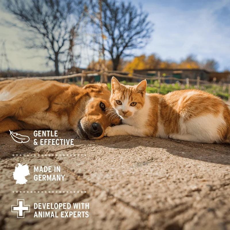 AniForte® Calming Spray for Dogs &  Cats