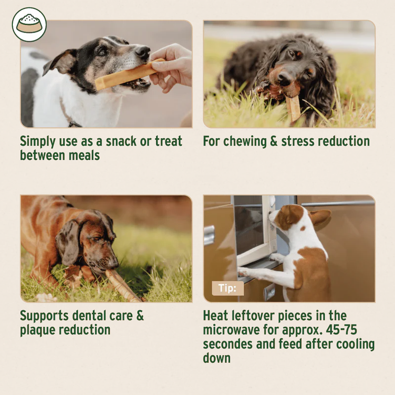 Promotional graphic for dog chew products with images of dogs and text on a beige background.