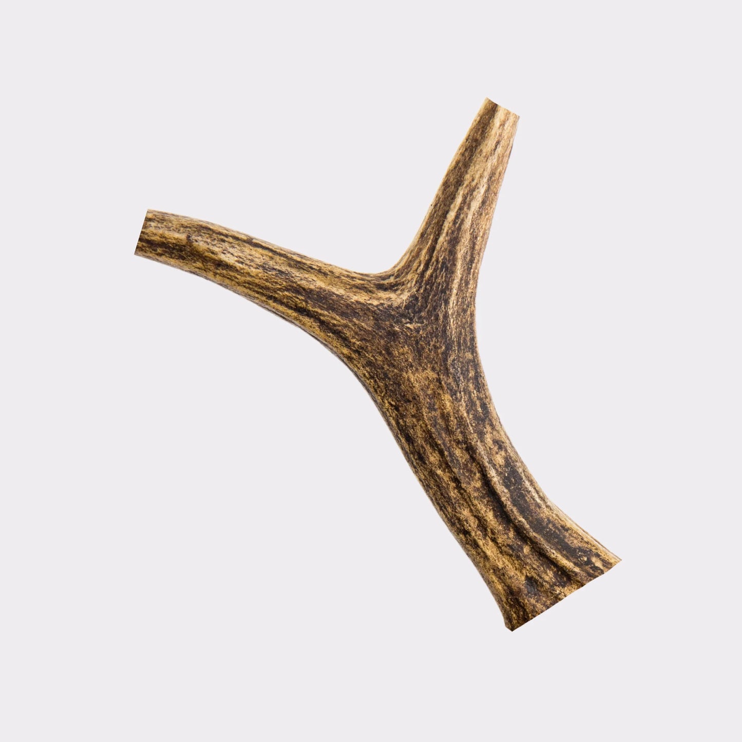 Highland Antler