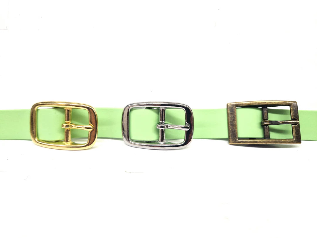 Apple green dog collar buckles