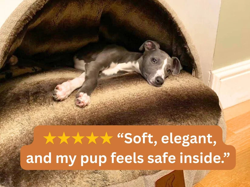 Whippet lying in a cave bed with 5 star review