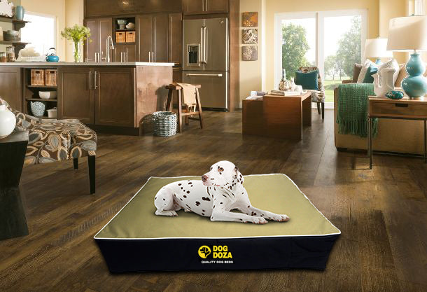 Waterproof dog doza memory foam slab dog bed beige and black