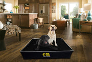 Waterproof dog doza memory foam slab dog bed black